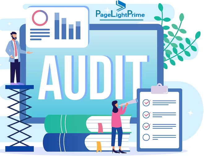 Regular Audits and Reviews